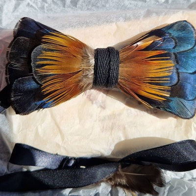 Navy Blue and Green Iridescent Feather Bow Tie and Pin Set child ...