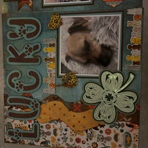 Debra added a photo of their purchase
