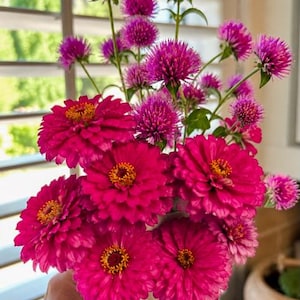 Ashlee’s customer photo of Coral Vase V2