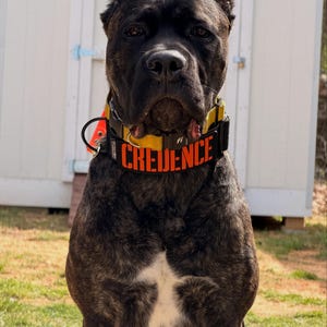 Larissa ha añadido una foto de su compra