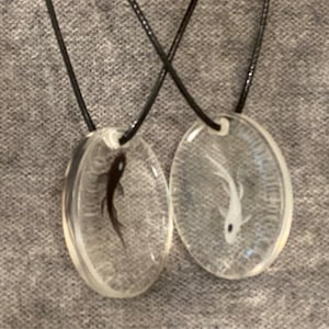 Mariolina added a photo of their purchase