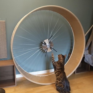 Anders ha aggiunto una foto del proprio acquisto