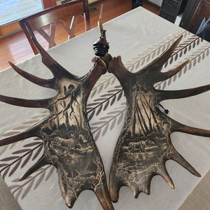 SROBYNG added a photo of their purchase