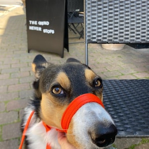 Comprador de Etsy ha añadido una foto de su compra