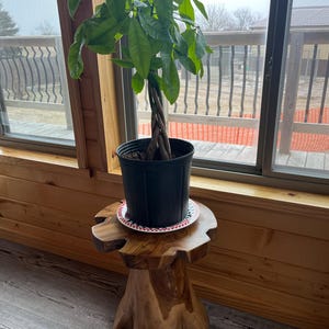 Rita added a photo of their purchase