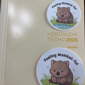 E ha aggiunto una foto del proprio acquisto