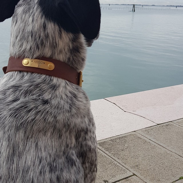 Louis Vuitton BAXTER XSMALL DOG COLLAR