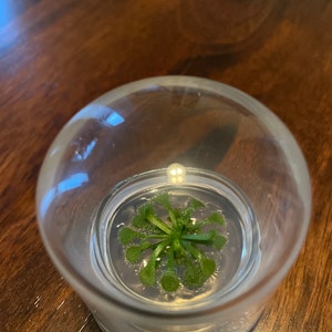 Barbara added a photo of their purchase