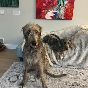Shannon added a photo of their purchase