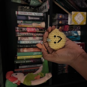 Reagan added a photo of their purchase