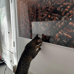 Vlad hat ein Foto des gekauften Artikels hinzugefügt