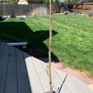 Grant added a photo of their purchase