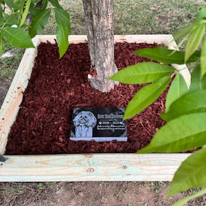 Big added a photo of their purchase