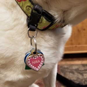 quick release dog tag holder