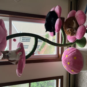 Alaina added a photo of their purchase