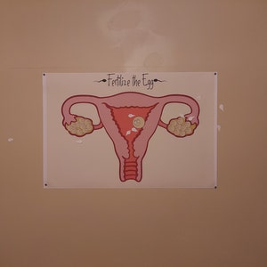 Sex Position Hens Party Game, Hens Party, Dirty, Hens Night, Hens Games