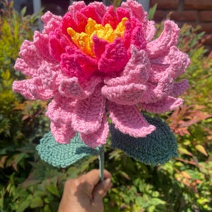 Nubia added a photo of their purchase