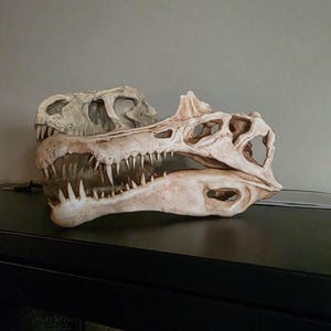 Joshua added a photo of their purchase