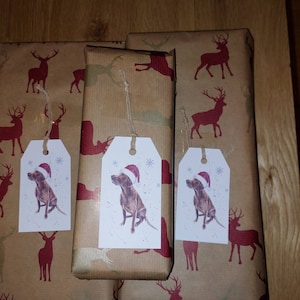 Vicki added a photo of their purchase