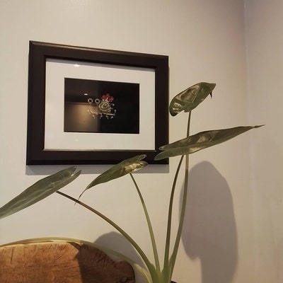 Fox Cross Stitch Pattern, Witchy Fox Color Chart, Funny Toadstool ...