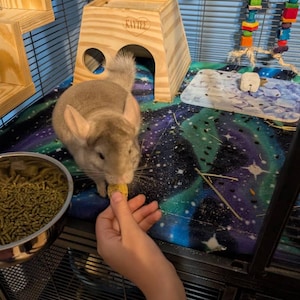 Ashley added a photo of their purchase
