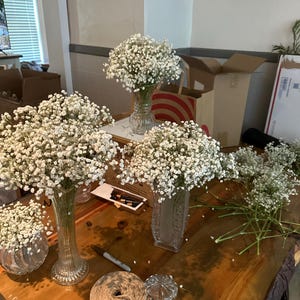 Jordyn ha añadido una foto de su compra
