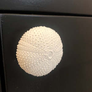 Laura added a photo of their purchase