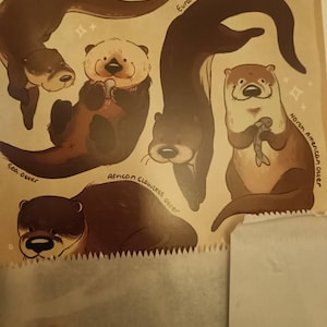 Connor added a photo of their purchase