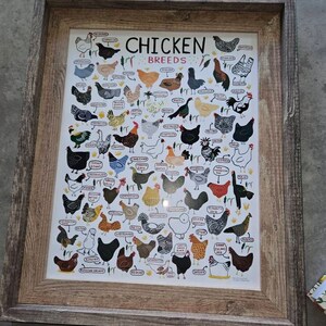 Ashley added a photo of their purchase