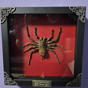 Michelle added a photo of their purchase