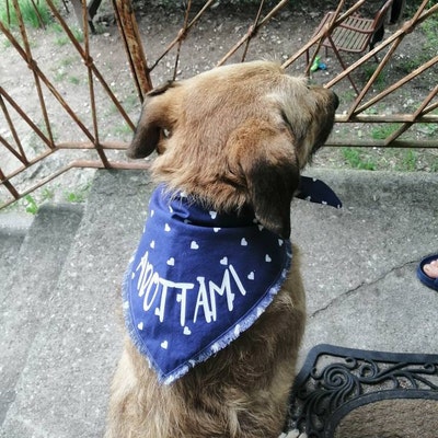 Bandana Per Cani E Gatti Regolabile - Taglia S, Rosso, Poliestere Morbido, Per Occasioni Speciali - Foto 2
