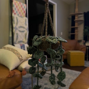 Zachary added a photo of their purchase