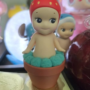 Adymar added a photo of their purchase