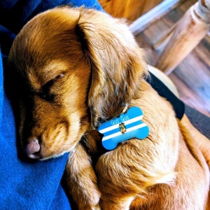 Tracy added a photo of their purchase