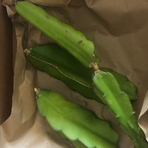 J added a photo of their purchase