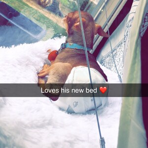 Retia Conner added a photo of their purchase