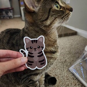 Momo added a photo of their purchase