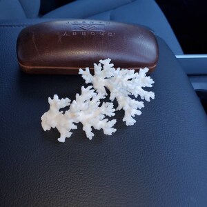 Jennifer さんが購入した商品の写真を追加しました