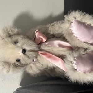 Carelli added a photo of their purchase
