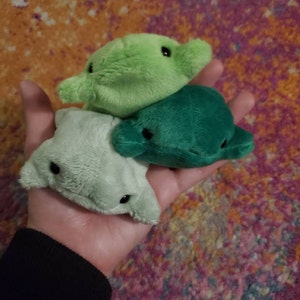 Lis ha aggiunto una foto del proprio acquisto