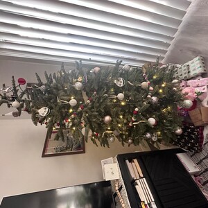 Amanda ha aggiunto una foto del proprio acquisto