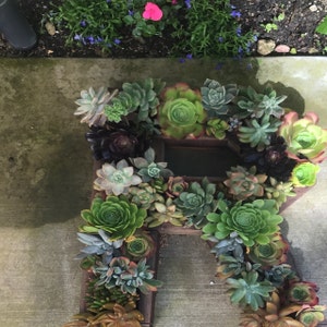 cb2089 added a photo of their purchase