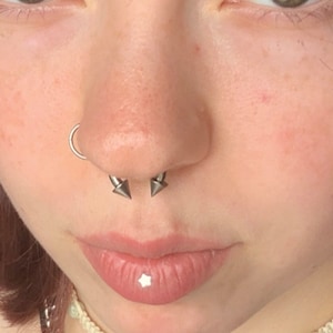 Kiley added a photo of their purchase