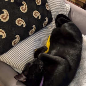 Priscilla heeft een foto van de aankoop toegevoegd