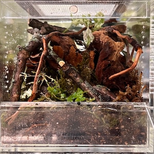 Allison added a photo of their purchase