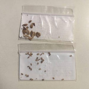 Comprador de Etsy ha añadido una foto de su compra