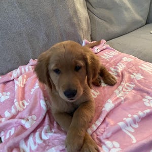 Betty added a photo of their purchase