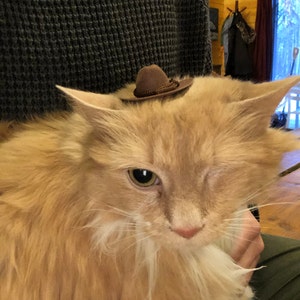 Maggie added a photo of their purchase