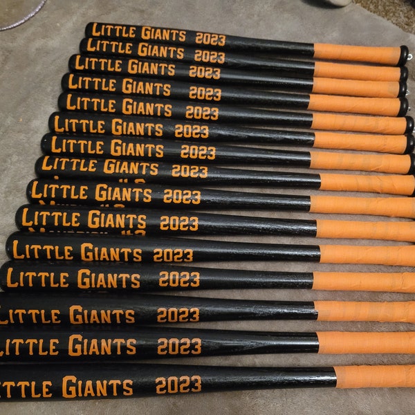 Lot De 2 Battes Baseball Bois érable Game Ready 31 Pouces – Blem, Cupped