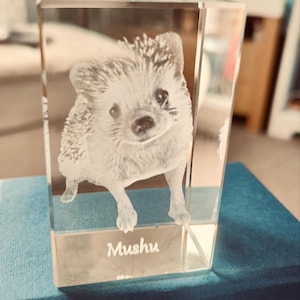 heidi added a photo of their purchase